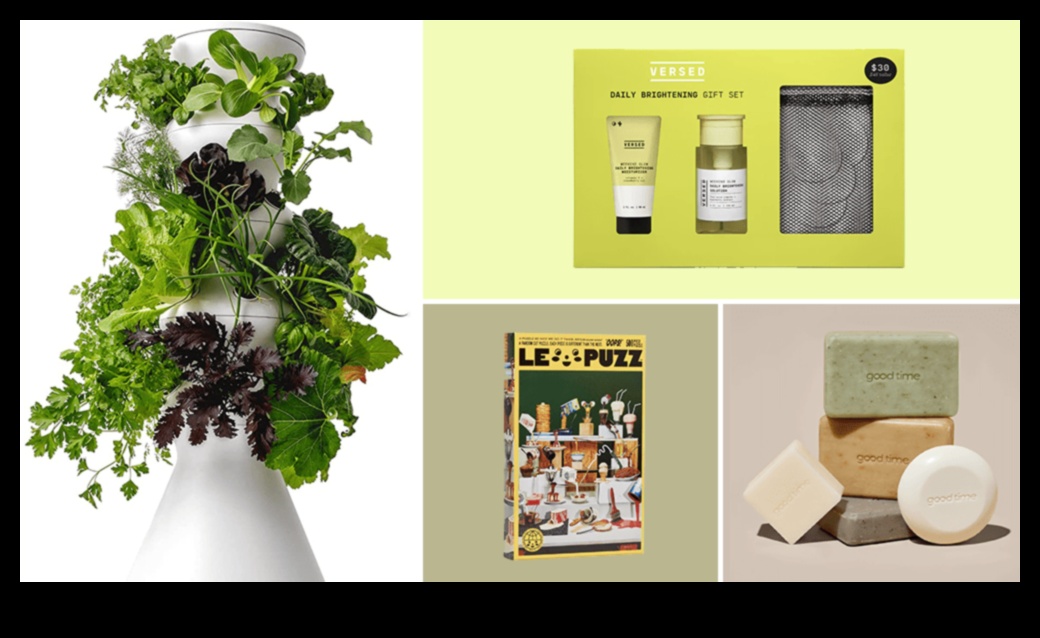 هداياك المستدامة التي تحتضن الحياة الصديقة للأرض 3 لك بشكل مستدام: الهدايا التي تحتضن الحياة الصديقة للأرض