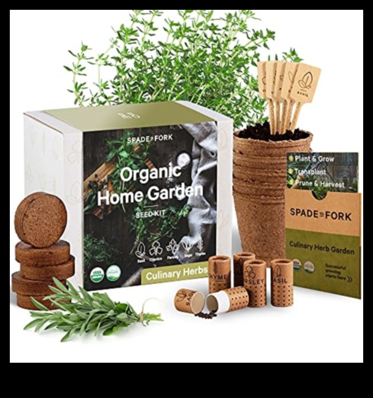 هداياك المستدامة التي تحتضن الحياة الصديقة للأرض 5 لك بشكل مستدام: الهدايا التي تحتضن الحياة الصديقة للأرض