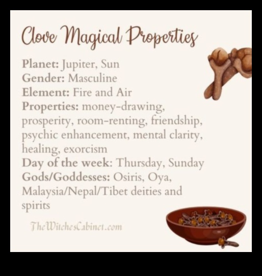 سحر جهد: وصفات سهلة لسحر الطهي