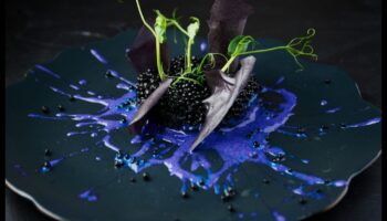 حرف الطهي لتناول طعام غامر: خلق تجارب متعددة الحواس