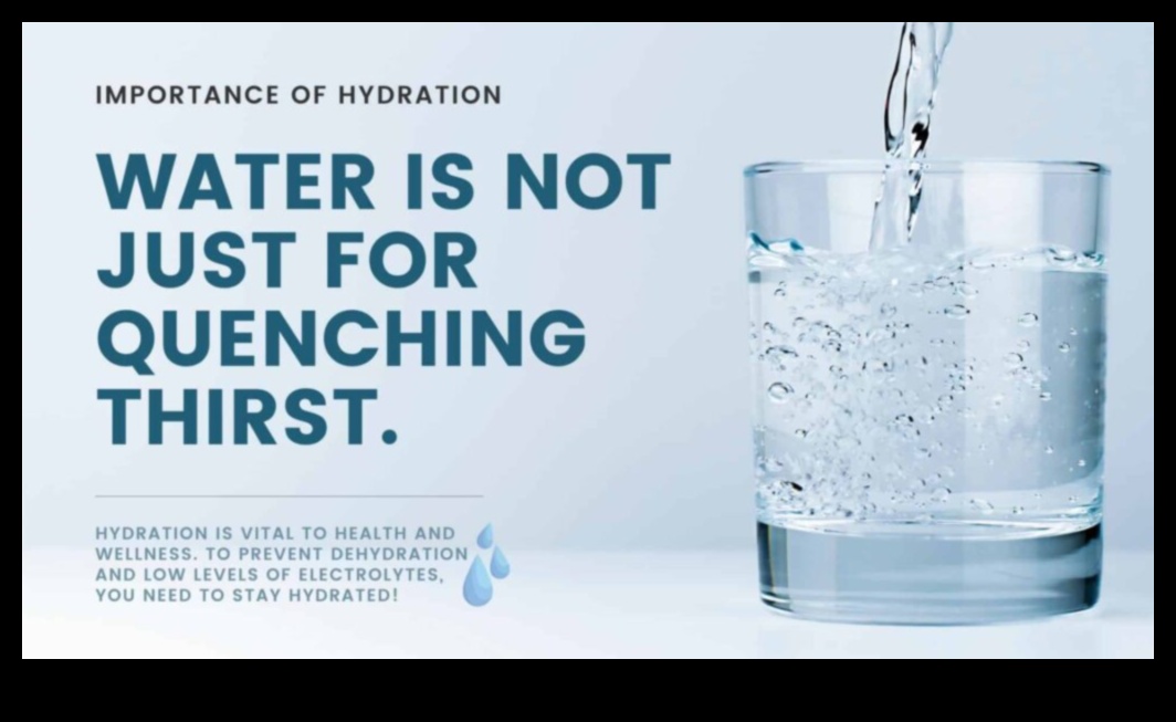 مستكشف الترطيب: رسم المسارات لحياة جيدة الترطيب