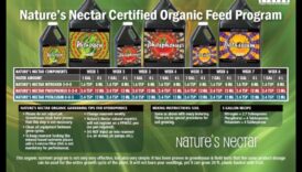 رحيق الطبيعة: الخيارات الغذائية لتنمية الطفل الشاملة