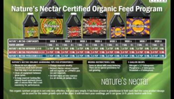 رحيق الطبيعة: الخيارات الغذائية لتنمية الطفل الشاملة