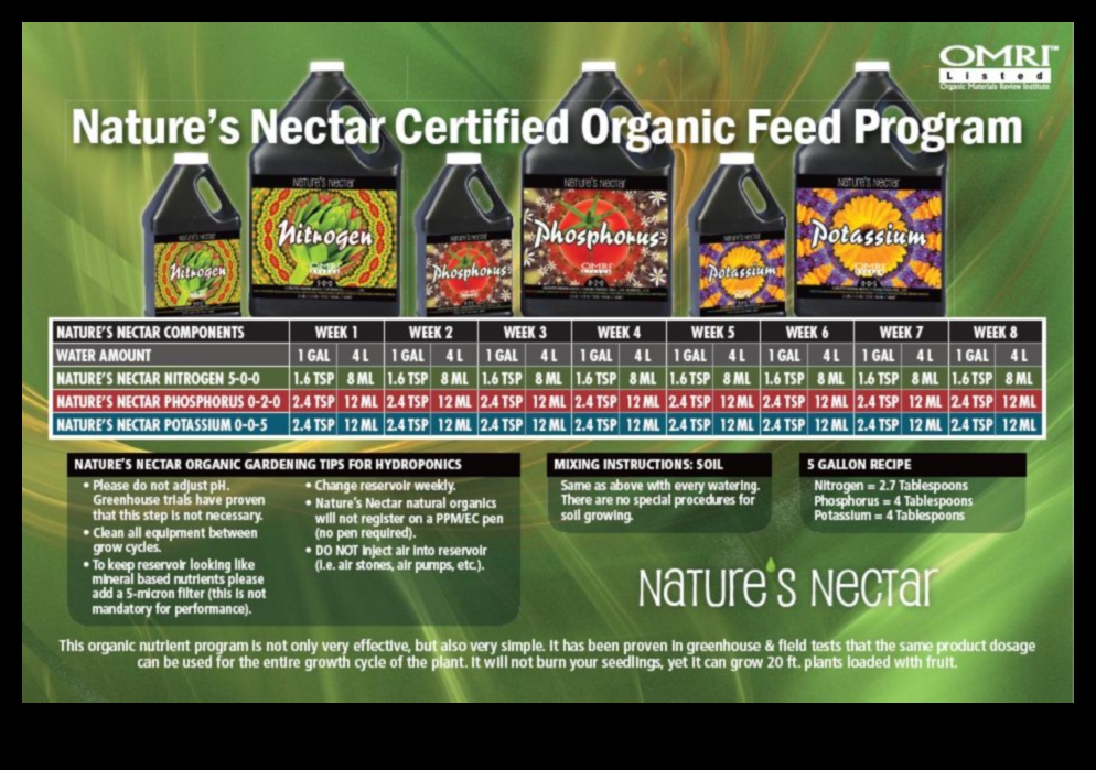 رحيق الطبيعة: الخيارات الغذائية لتنمية الطفل الشاملة