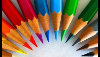 الاتصالات الملونة: قوة الأشكال في العلامات التجارية