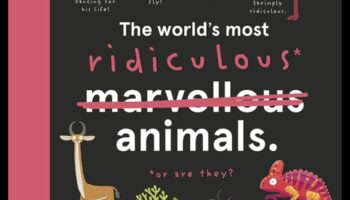 نزوة الحيوانات الورقية الملتوية: صياغة مخلوقات مرحة