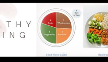 فن الأكل الجيد: لوحة من الخيارات الغذائية